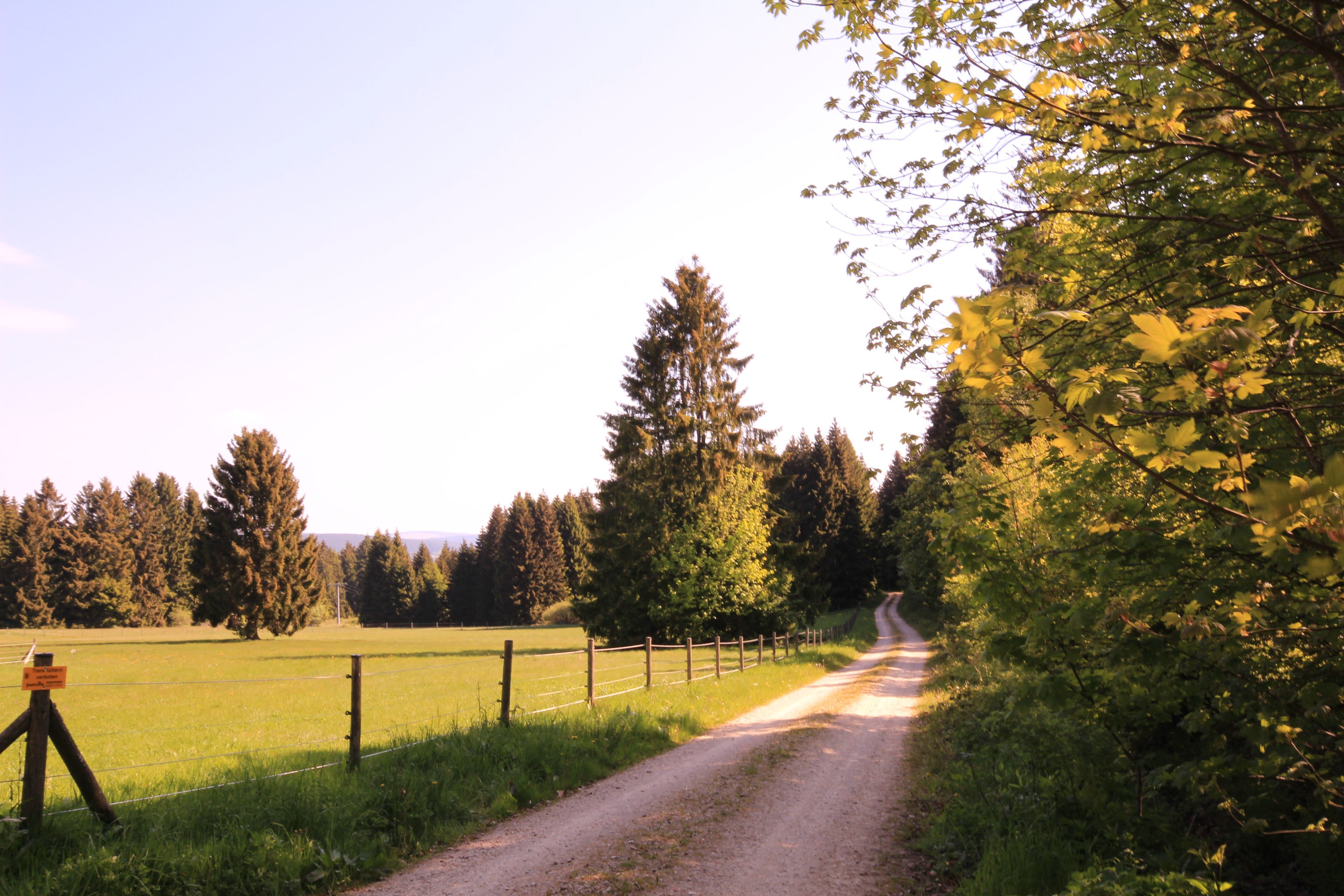 Umgebung