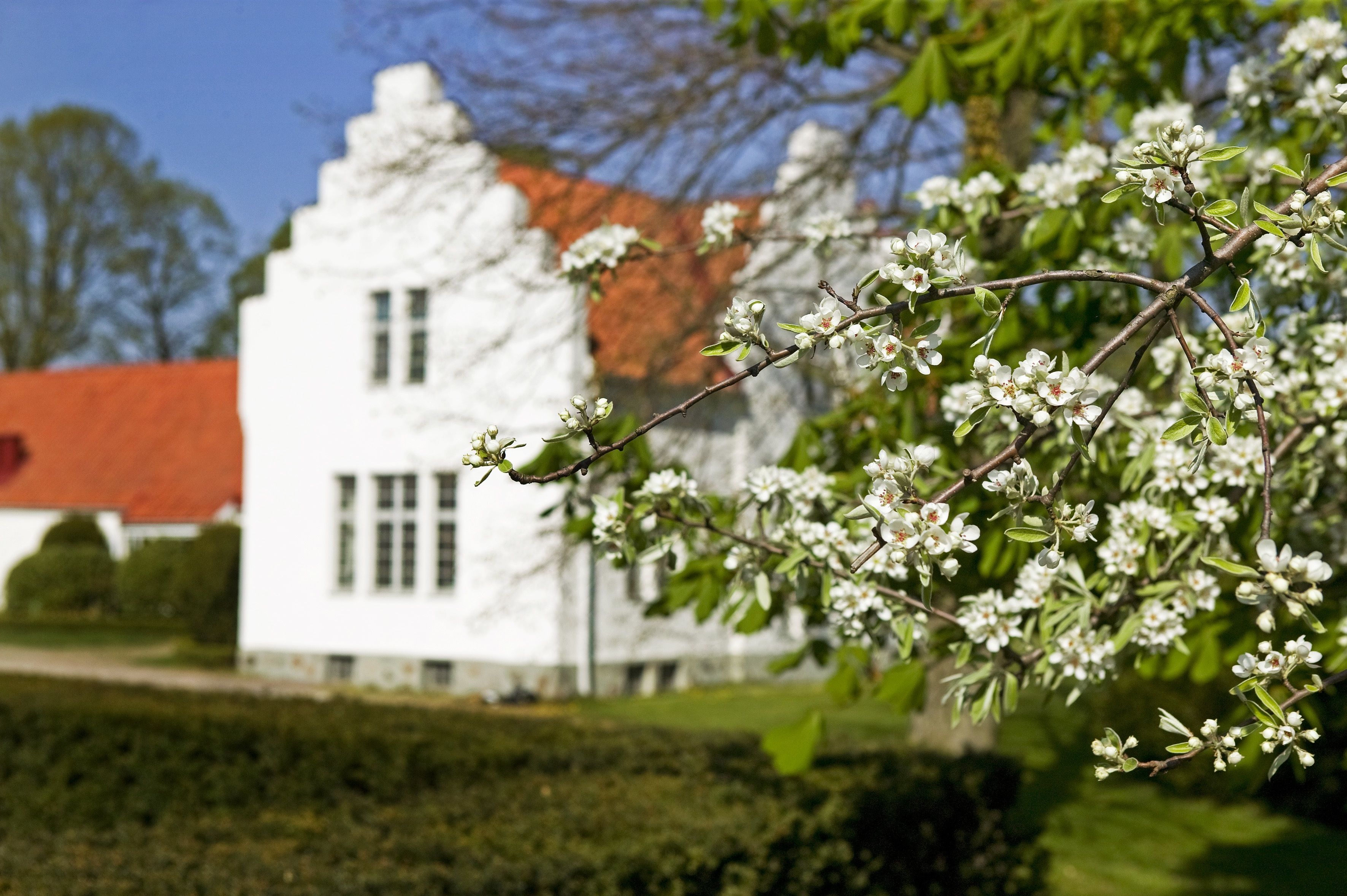 Umgebung