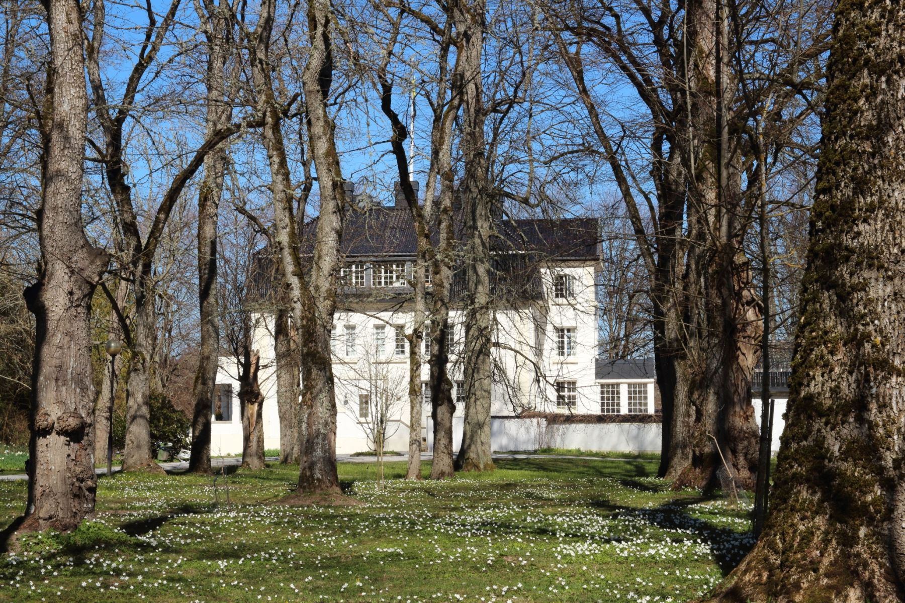 Umgebung
