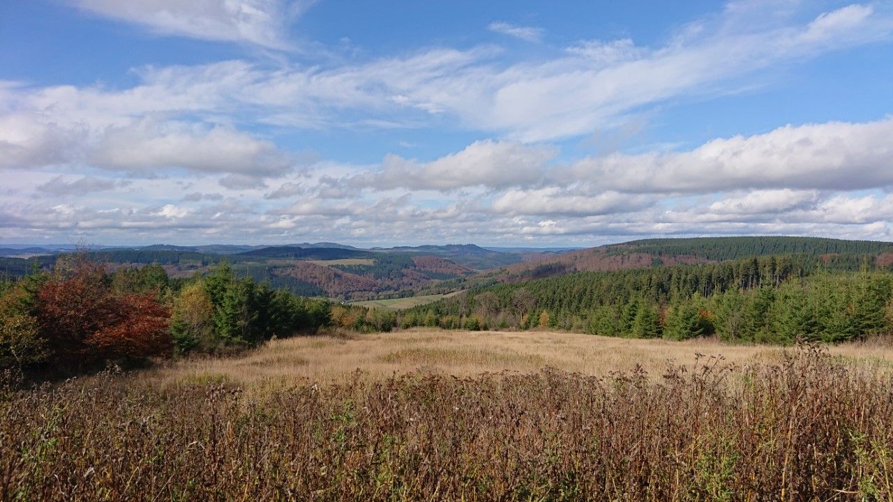 Umgebung