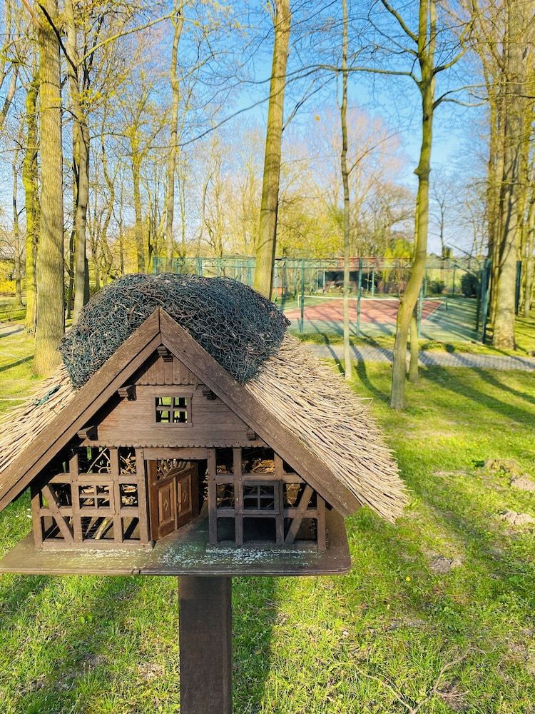 Allgemein