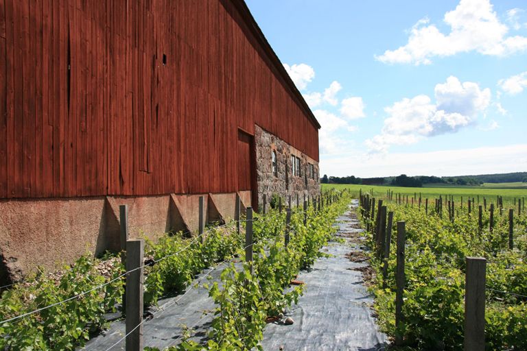 Umgebung