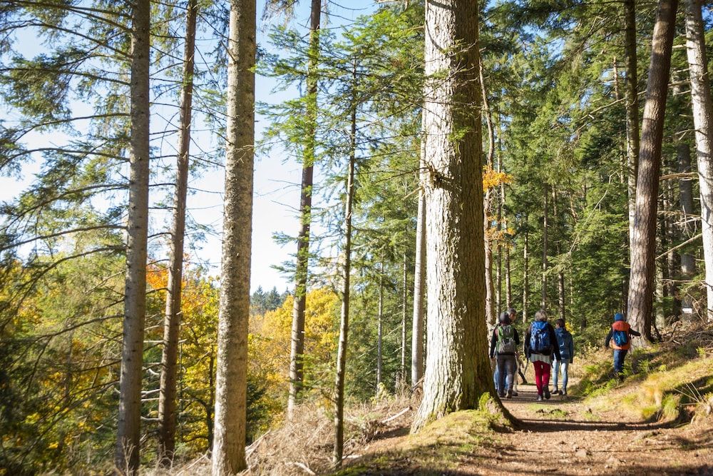 Allgemein