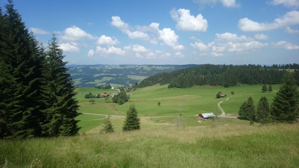 Allgemein