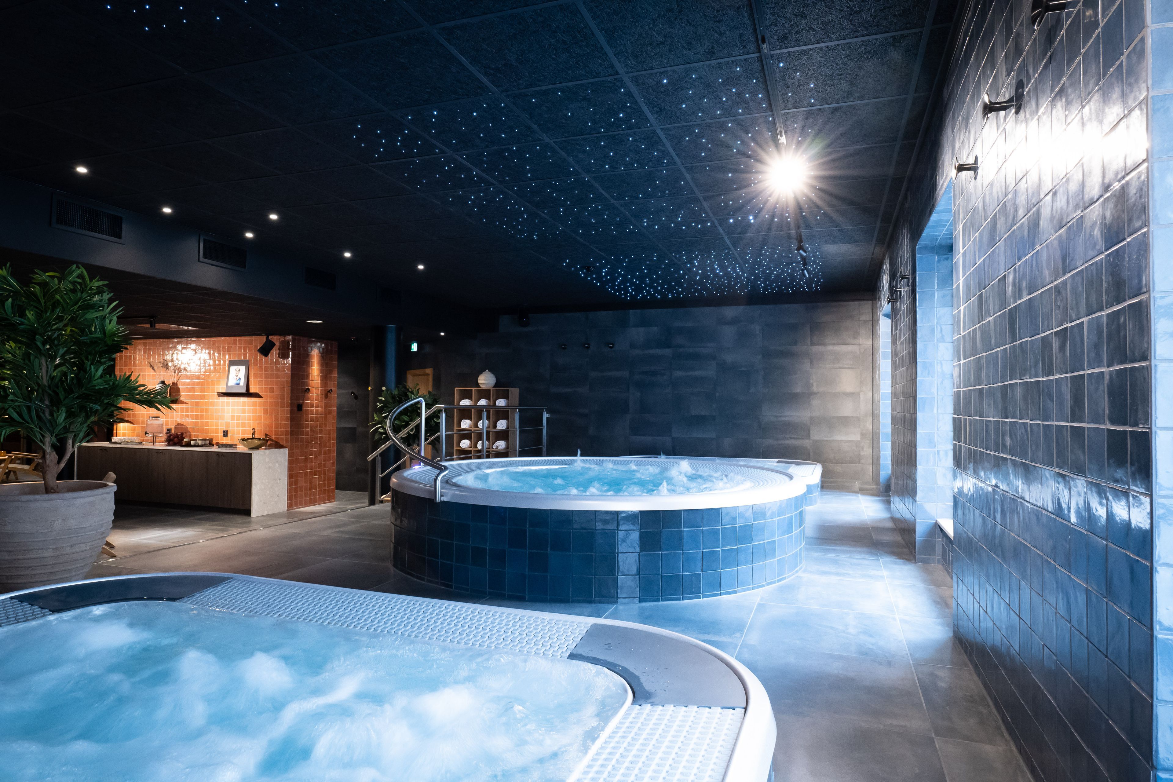 Wellness
