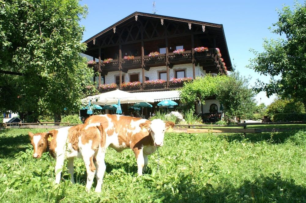 Allgemein