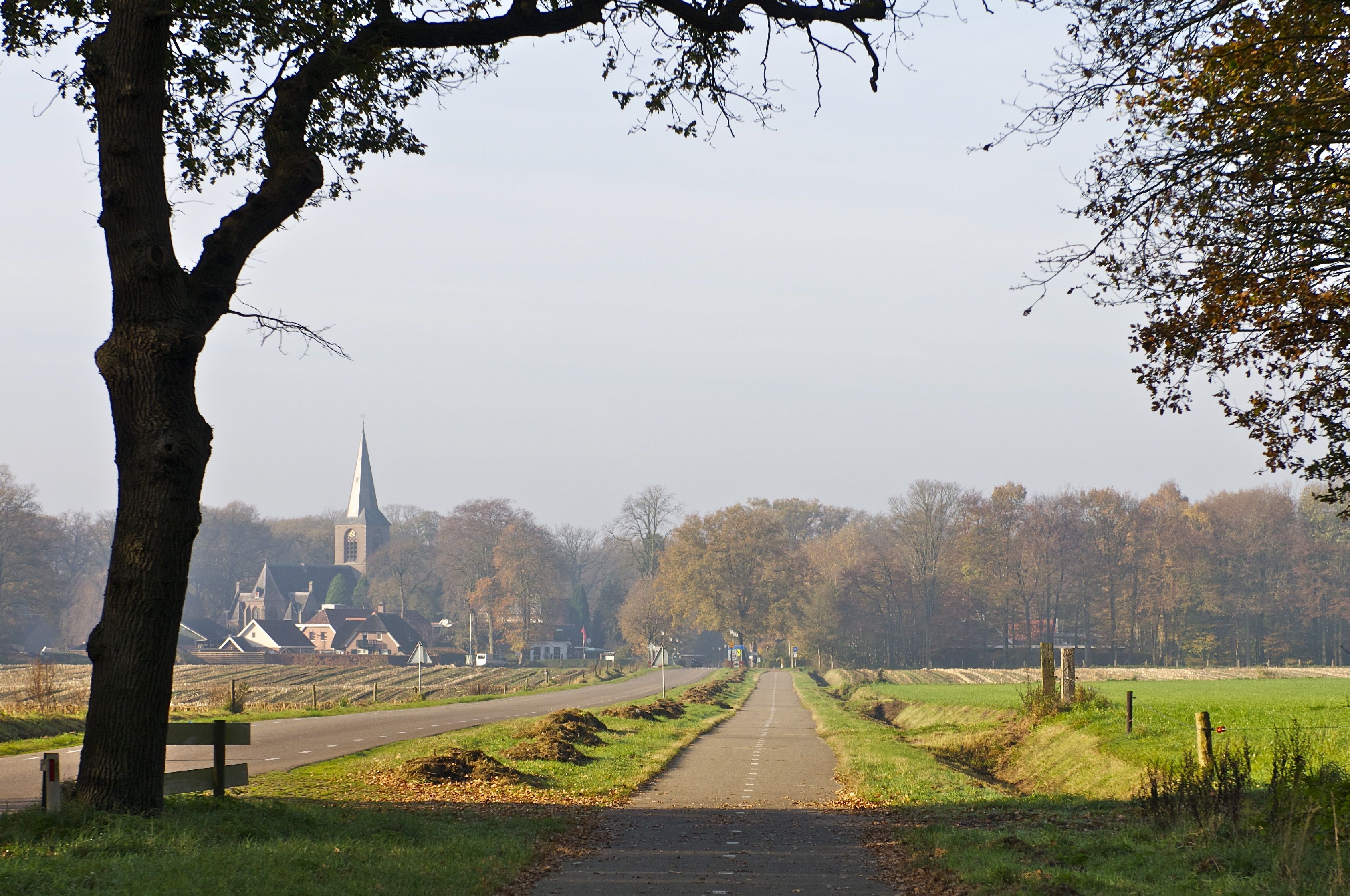 Umgebung