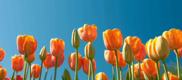 Die besten Angebote des Frühling-Sales