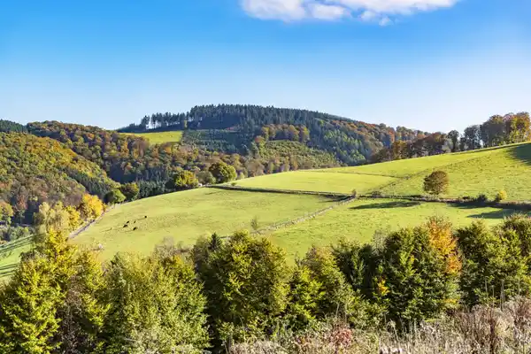 Hotel fünf10 - Herbst Sale - SURROUNDING