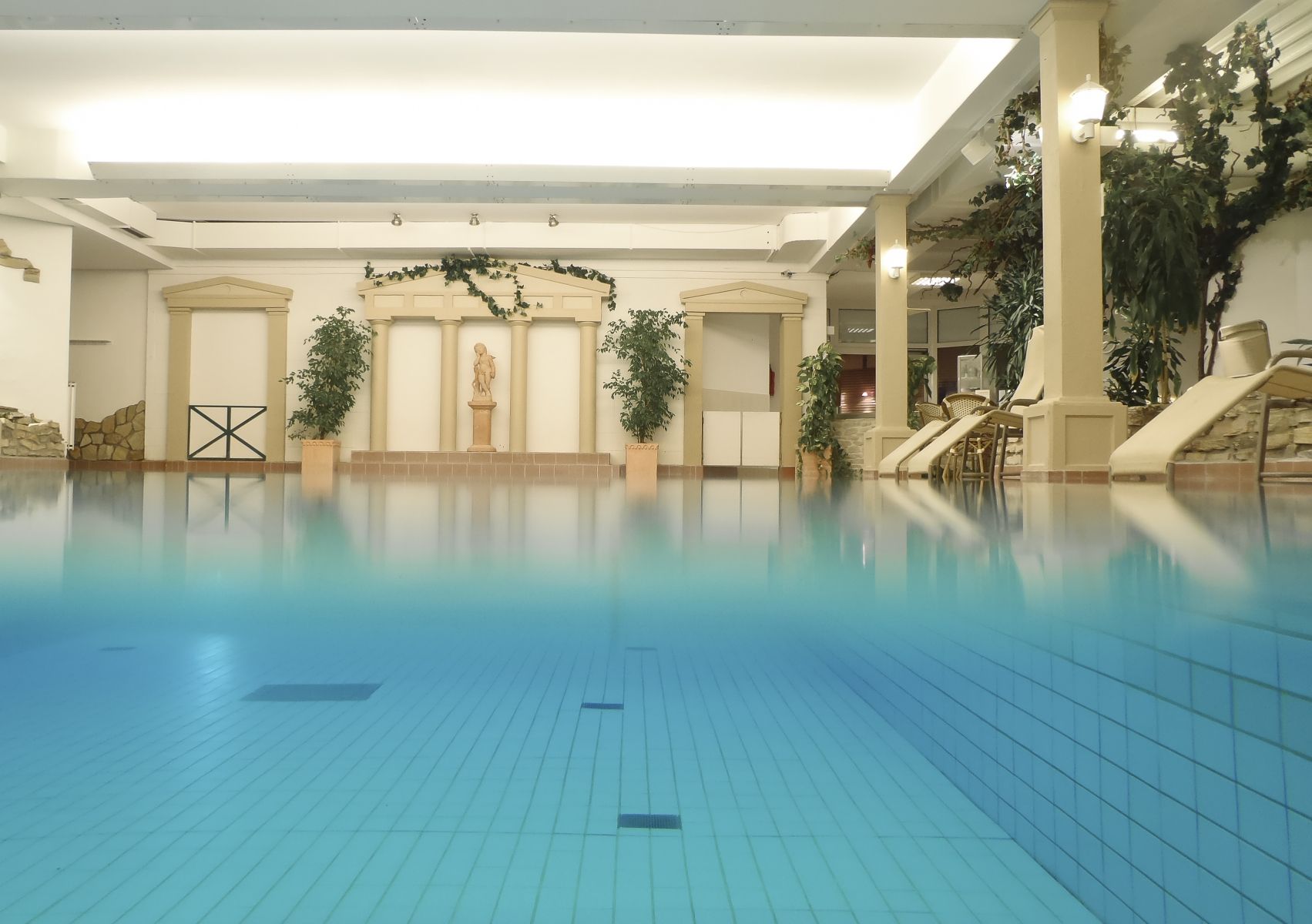 Wellness