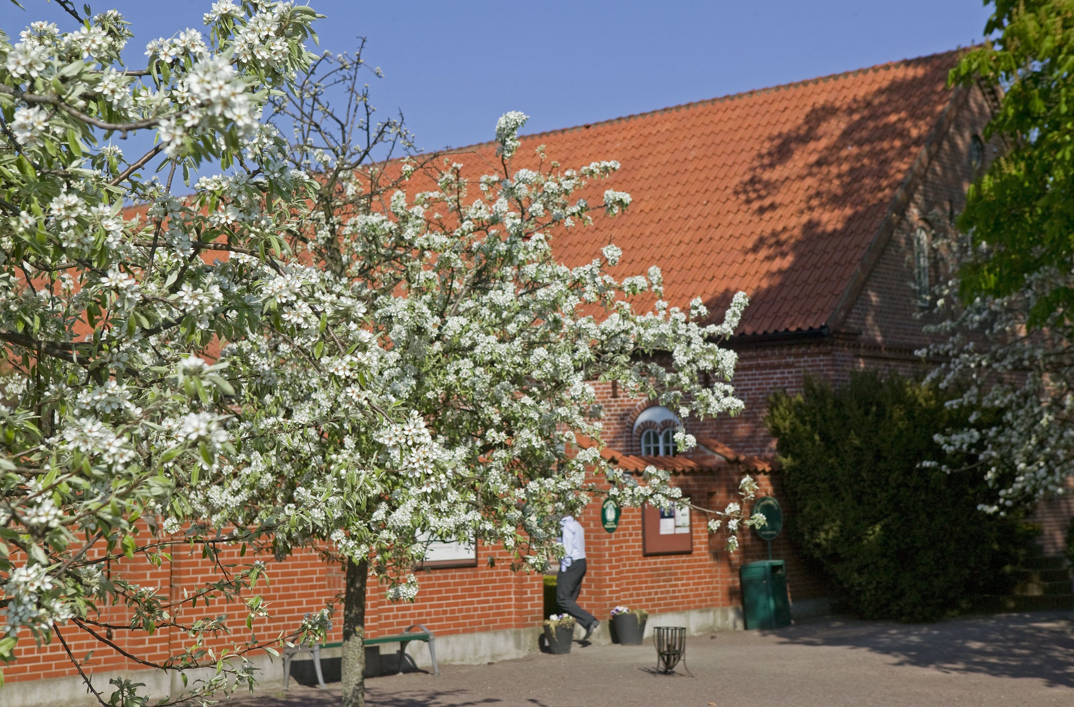 Umgebung