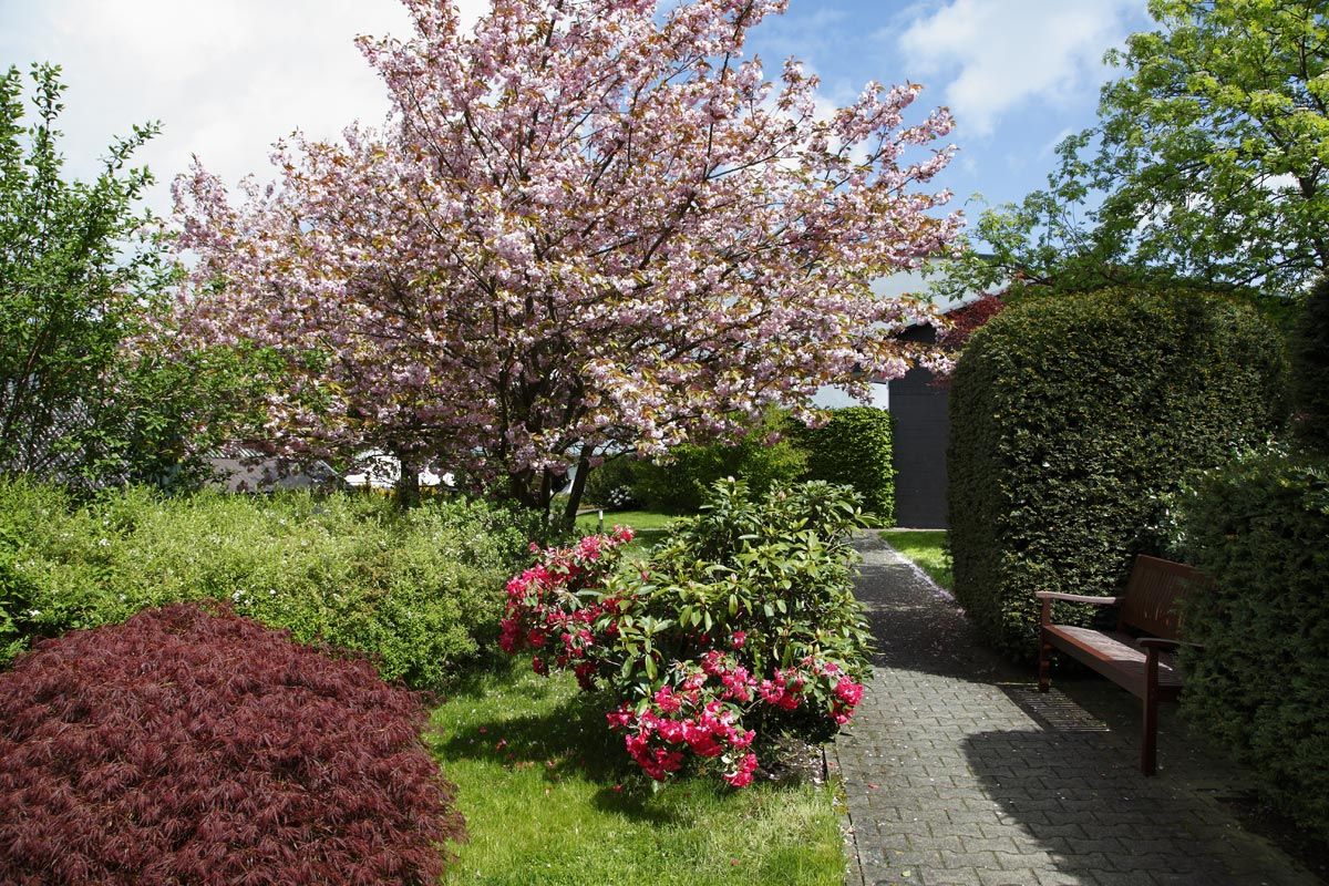 Hauptbilder