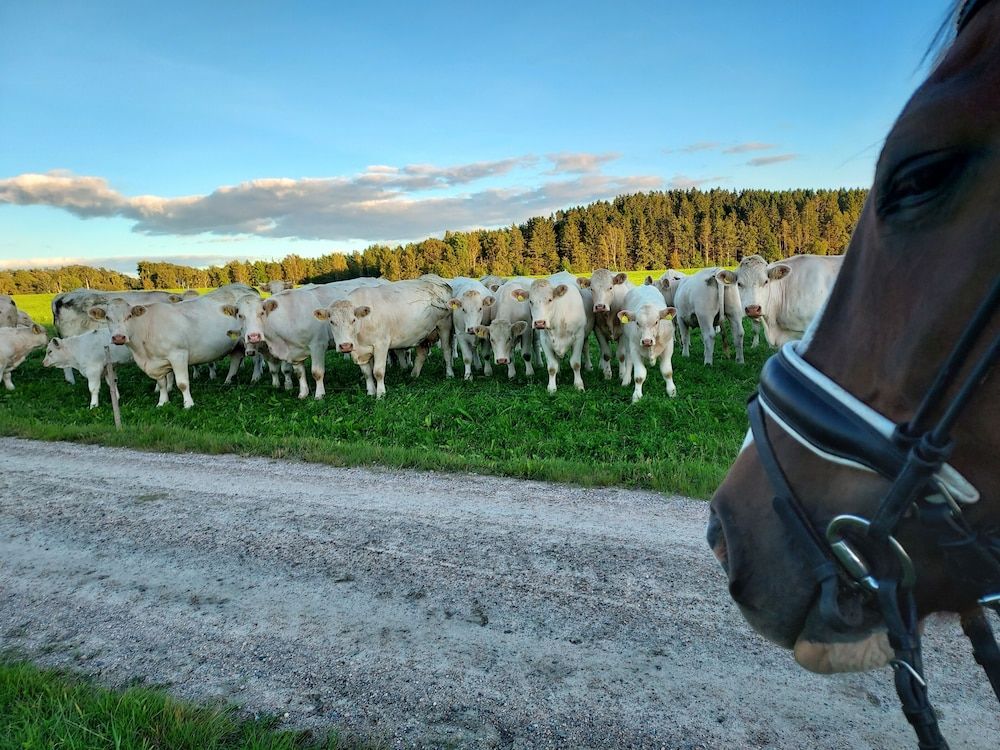 Allgemein