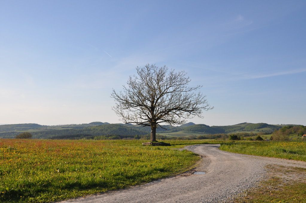 Umgebung