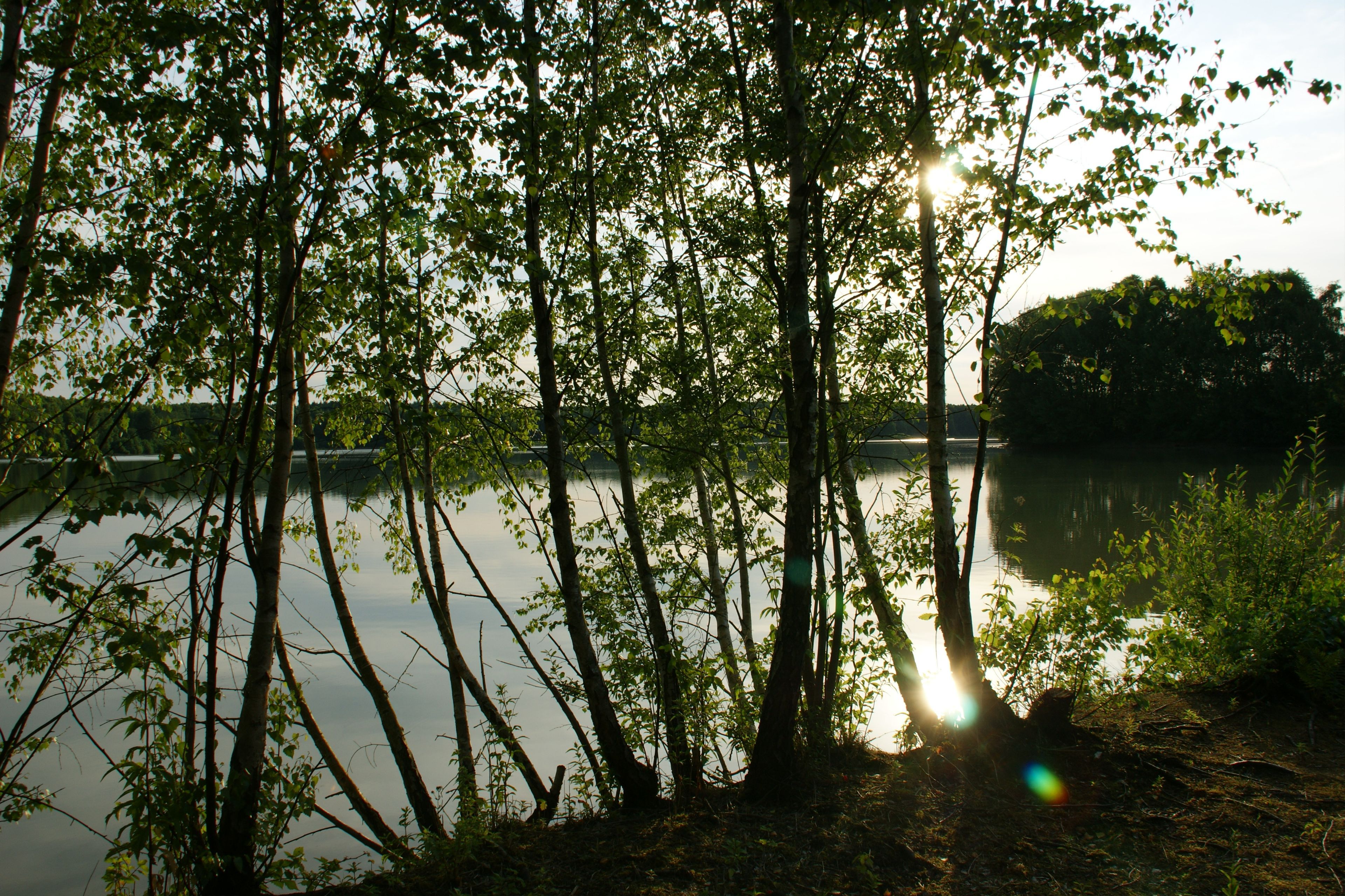 Umgebung