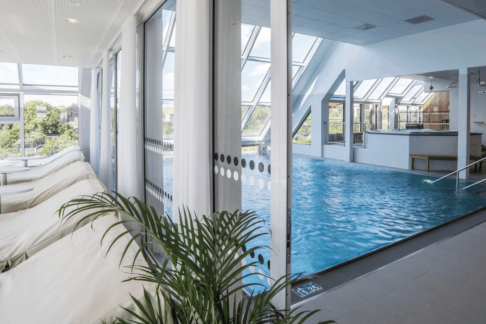 Wellness