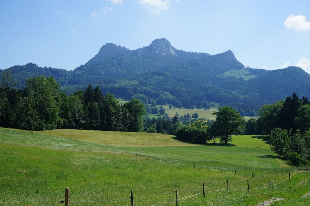 Allgemein