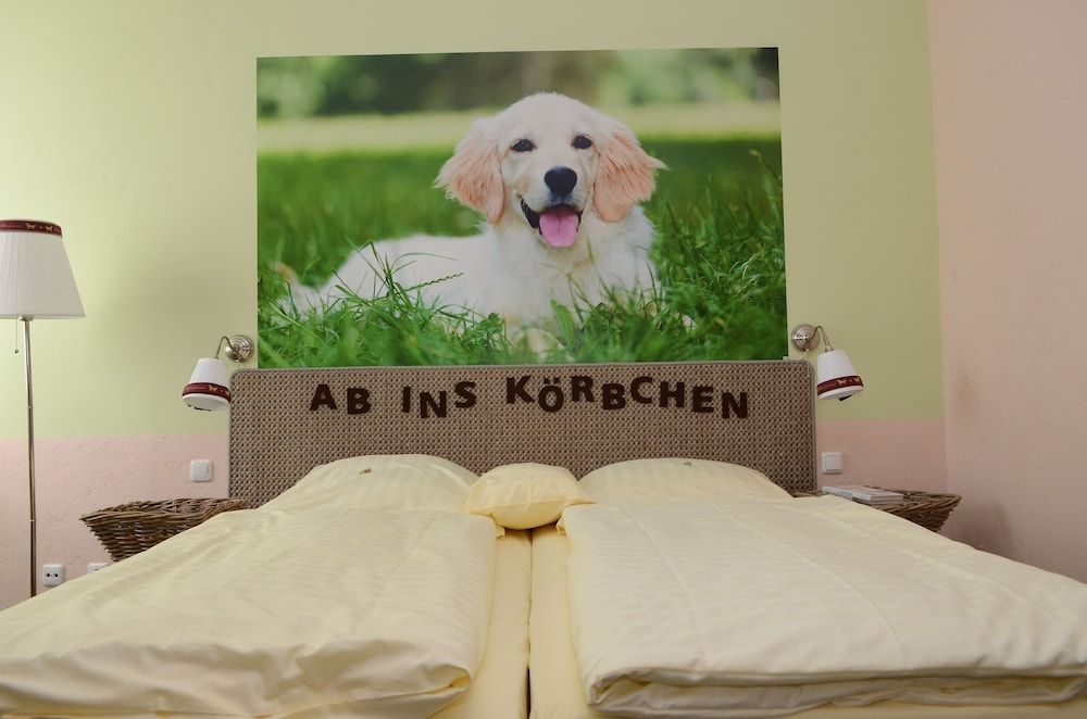 Allgemein