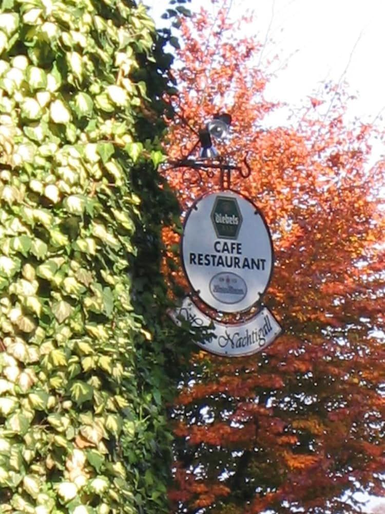 Allgemein