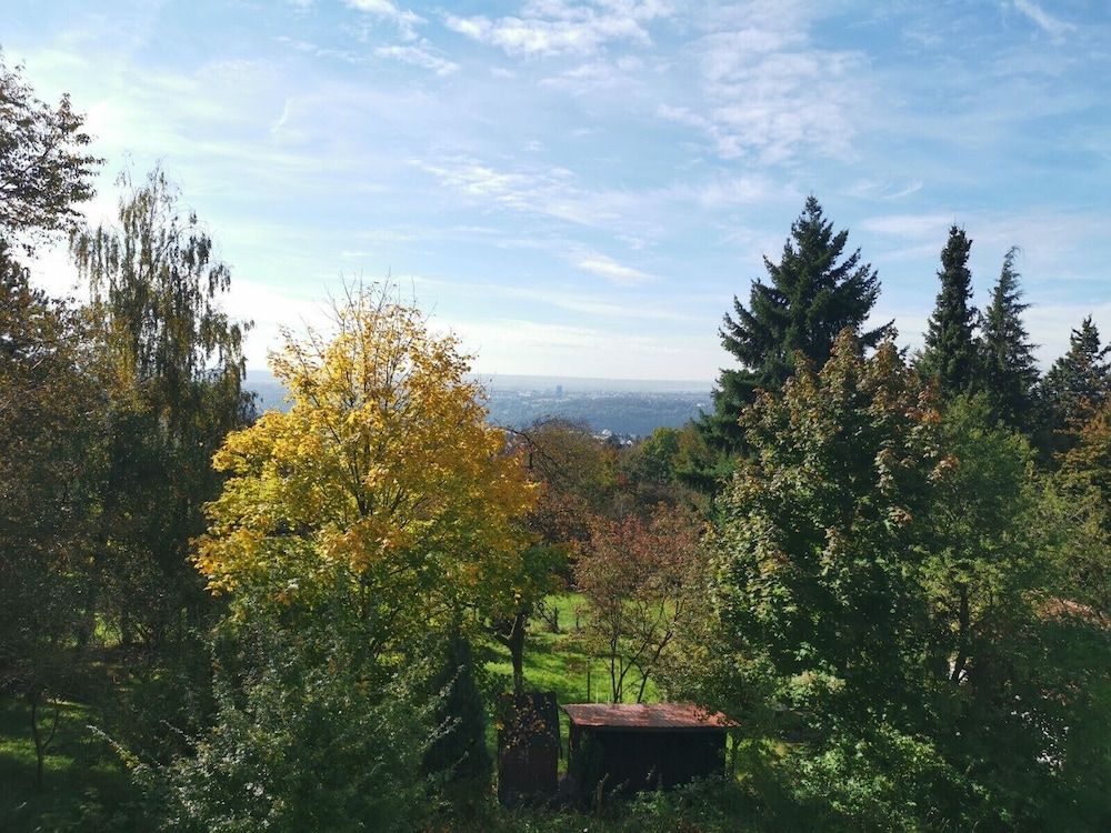 Allgemein