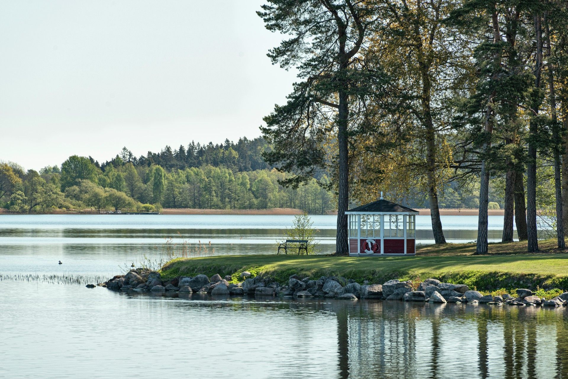 Umgebung