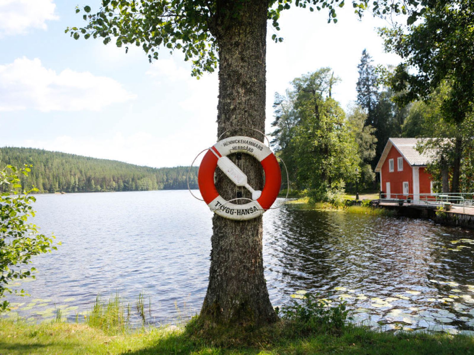 Umgebung
