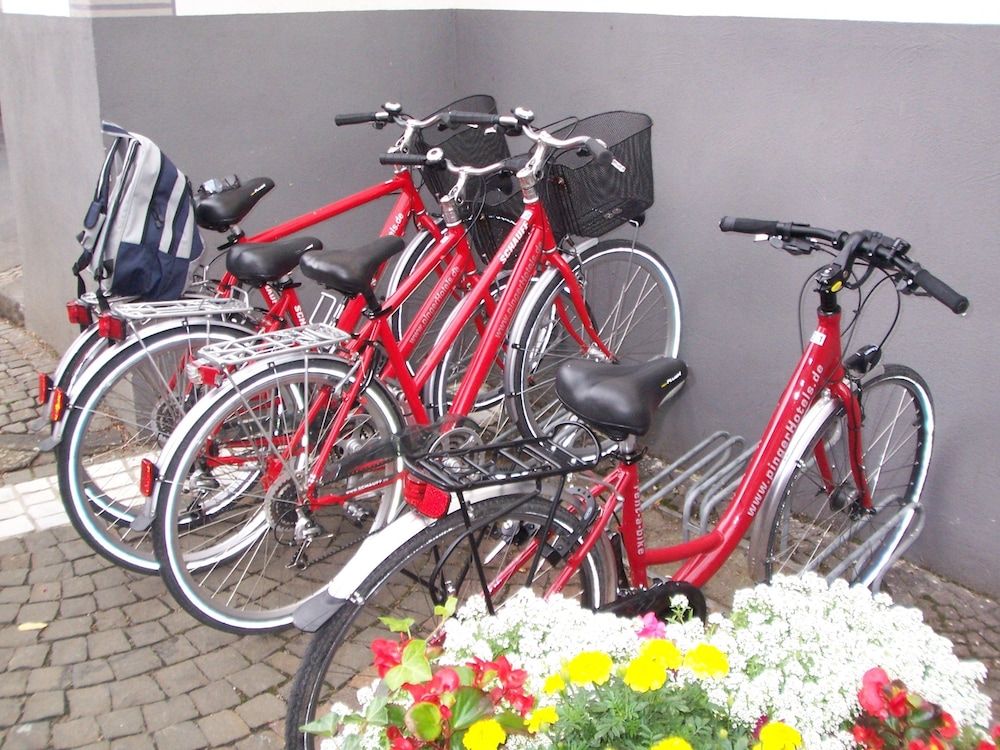 Allgemein