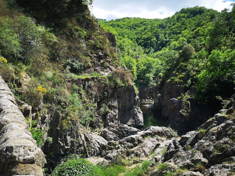 Allgemein