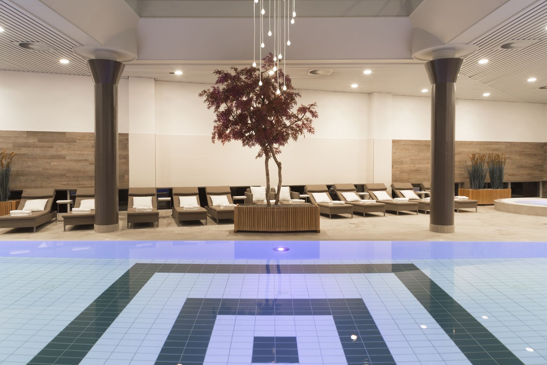 Wellness