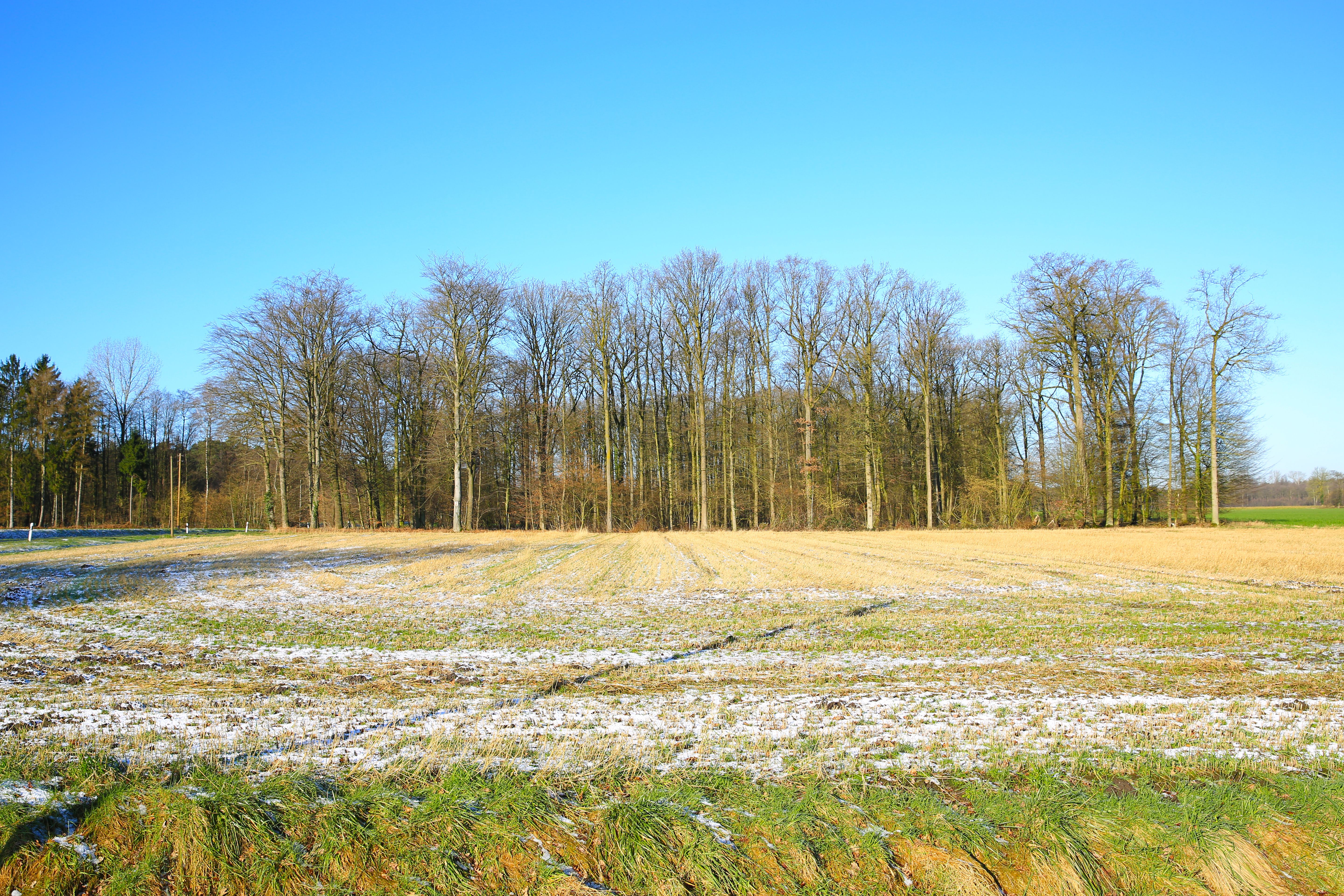 Umgebung