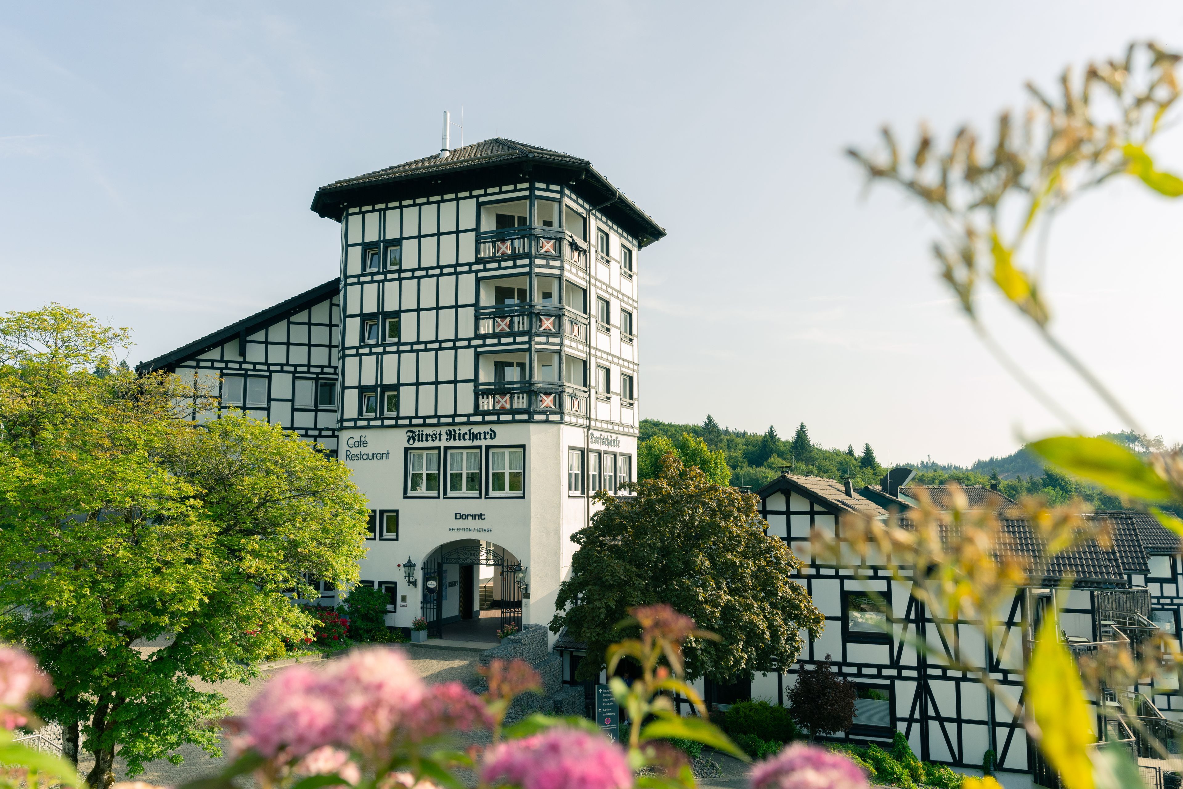 Hauptbilder