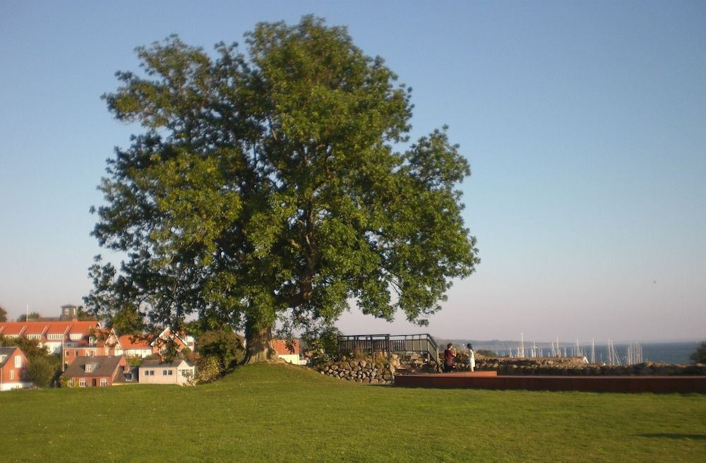 Allgemein