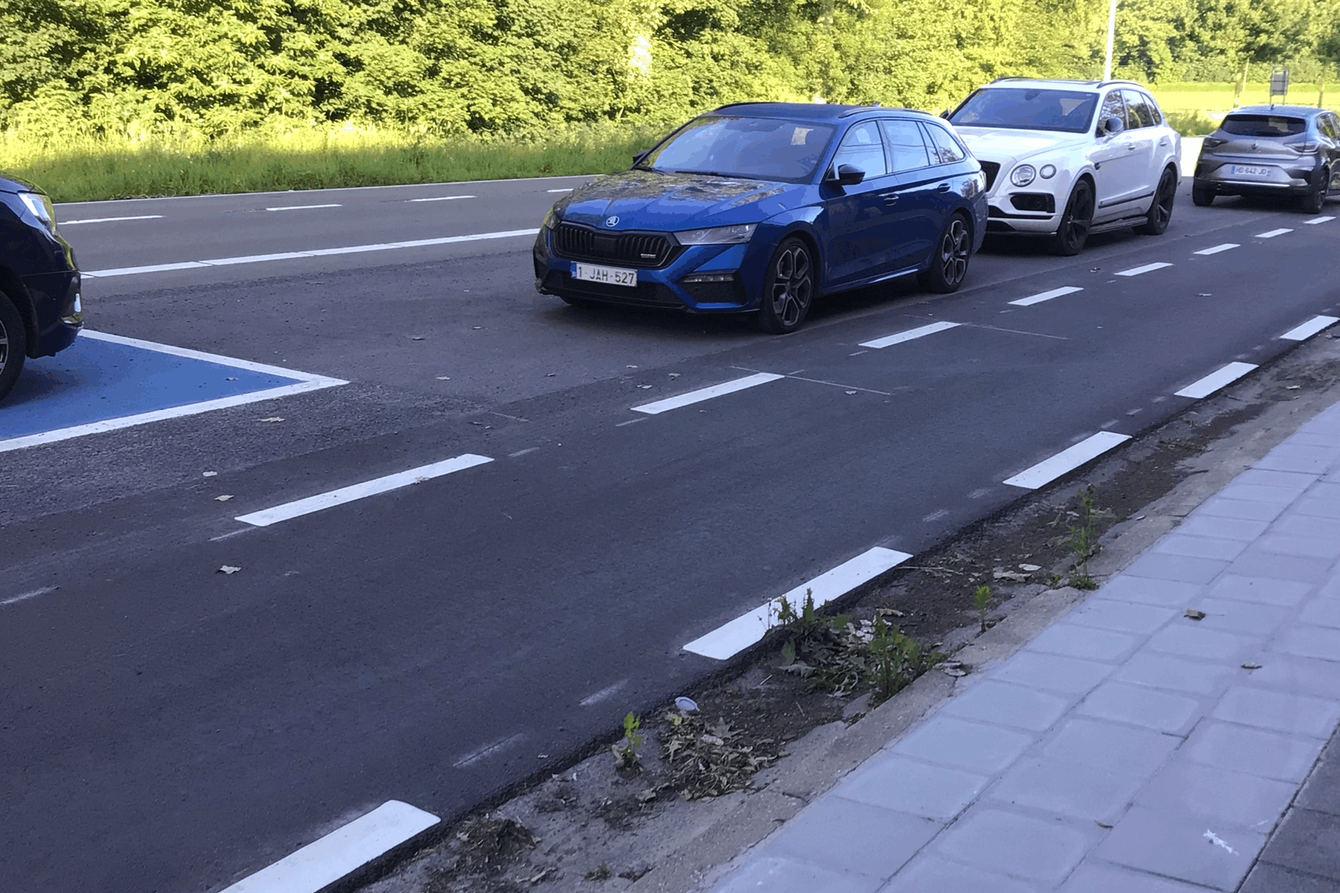 Allgemein