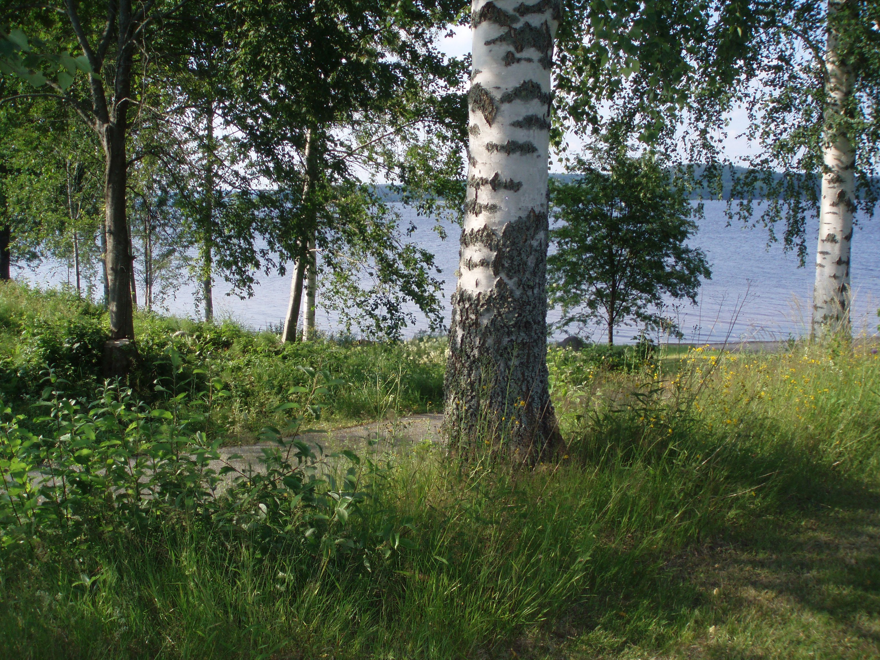 Umgebung