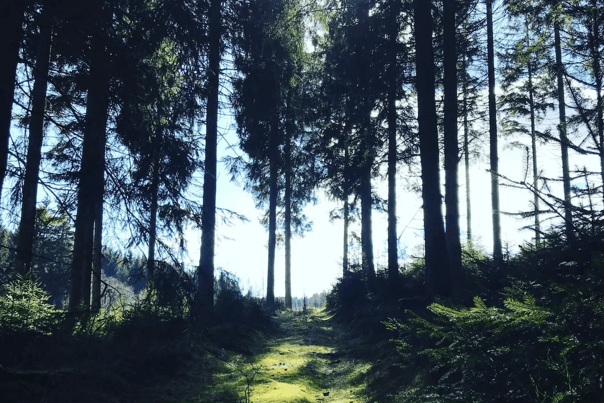 Umgebung