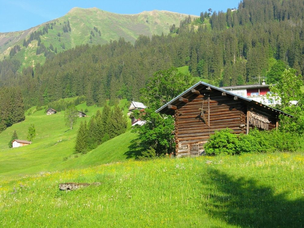 Allgemein