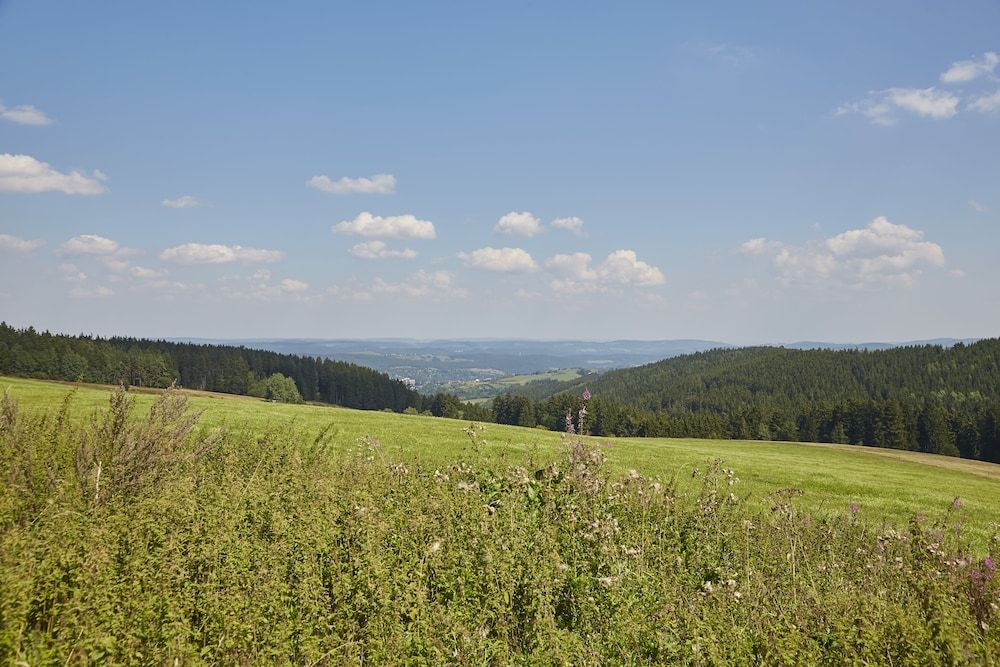 Allgemein