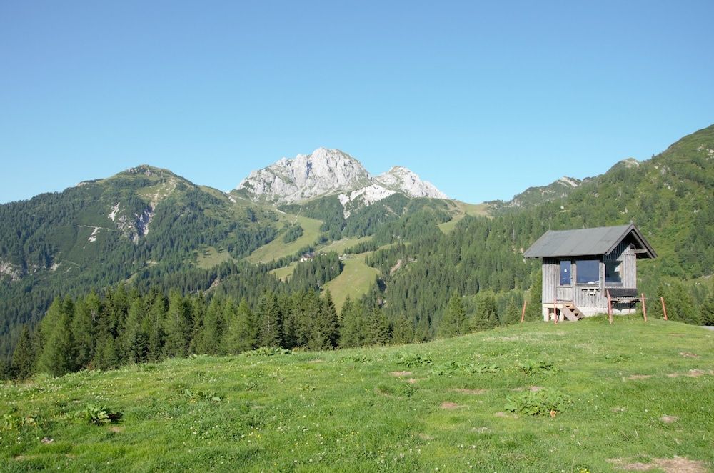 Allgemein
