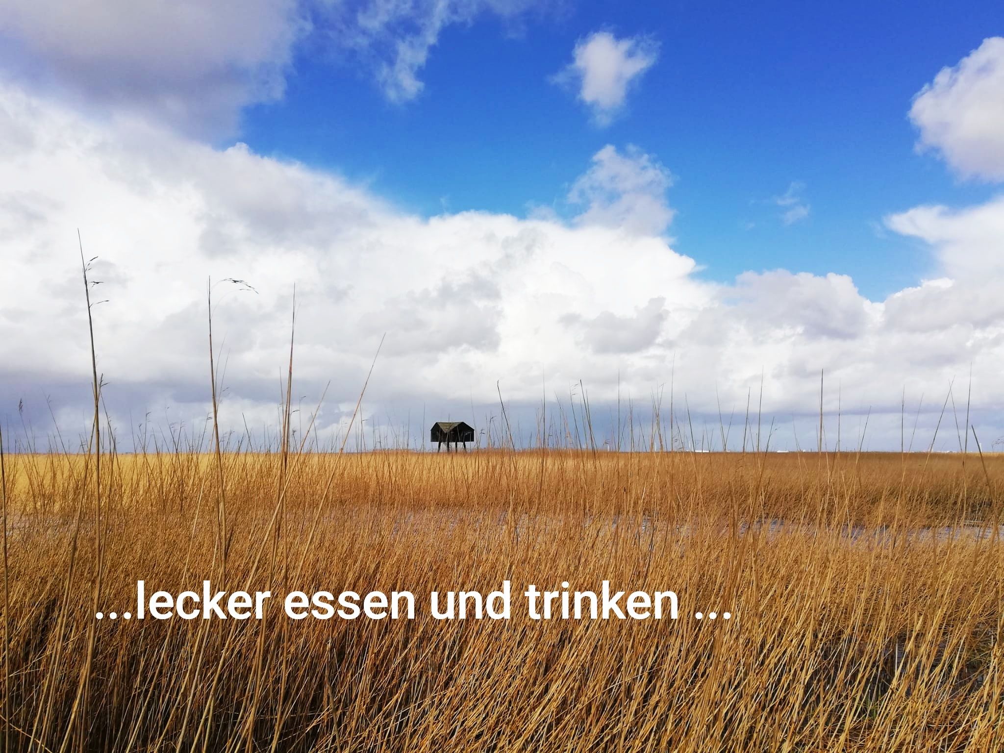 Umgebung