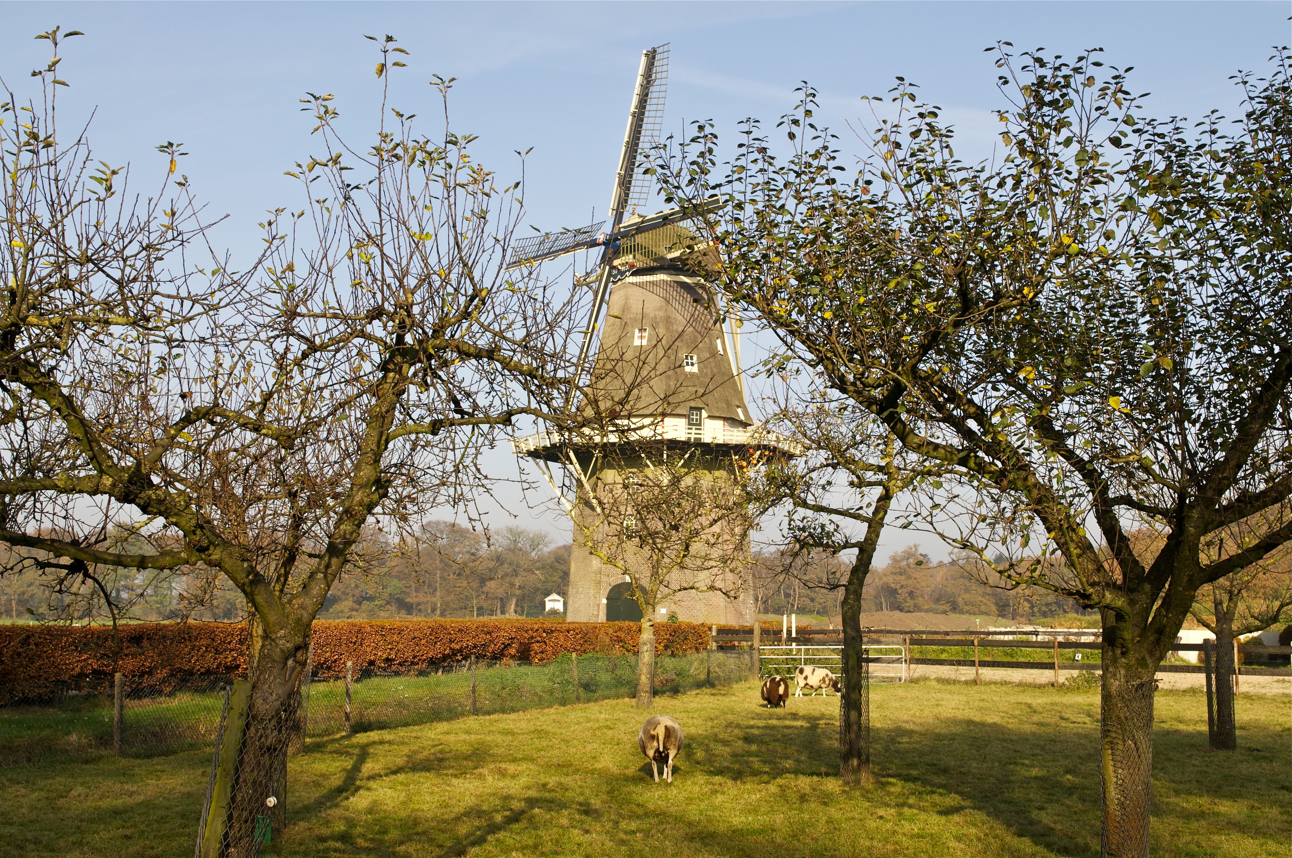 Umgebung