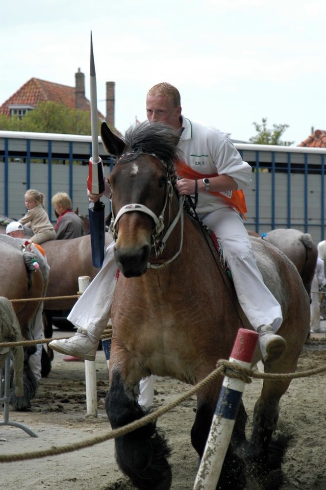 Allgemein