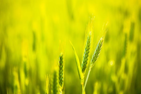 Top Angebote für nachhaltige Hotels