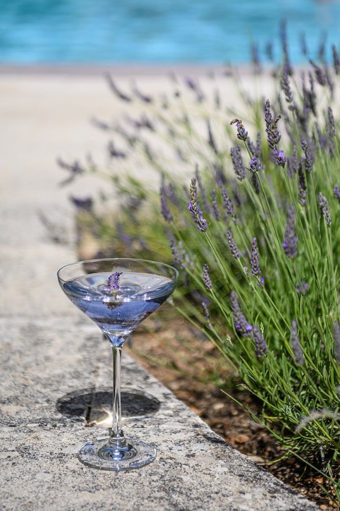 Allgemein