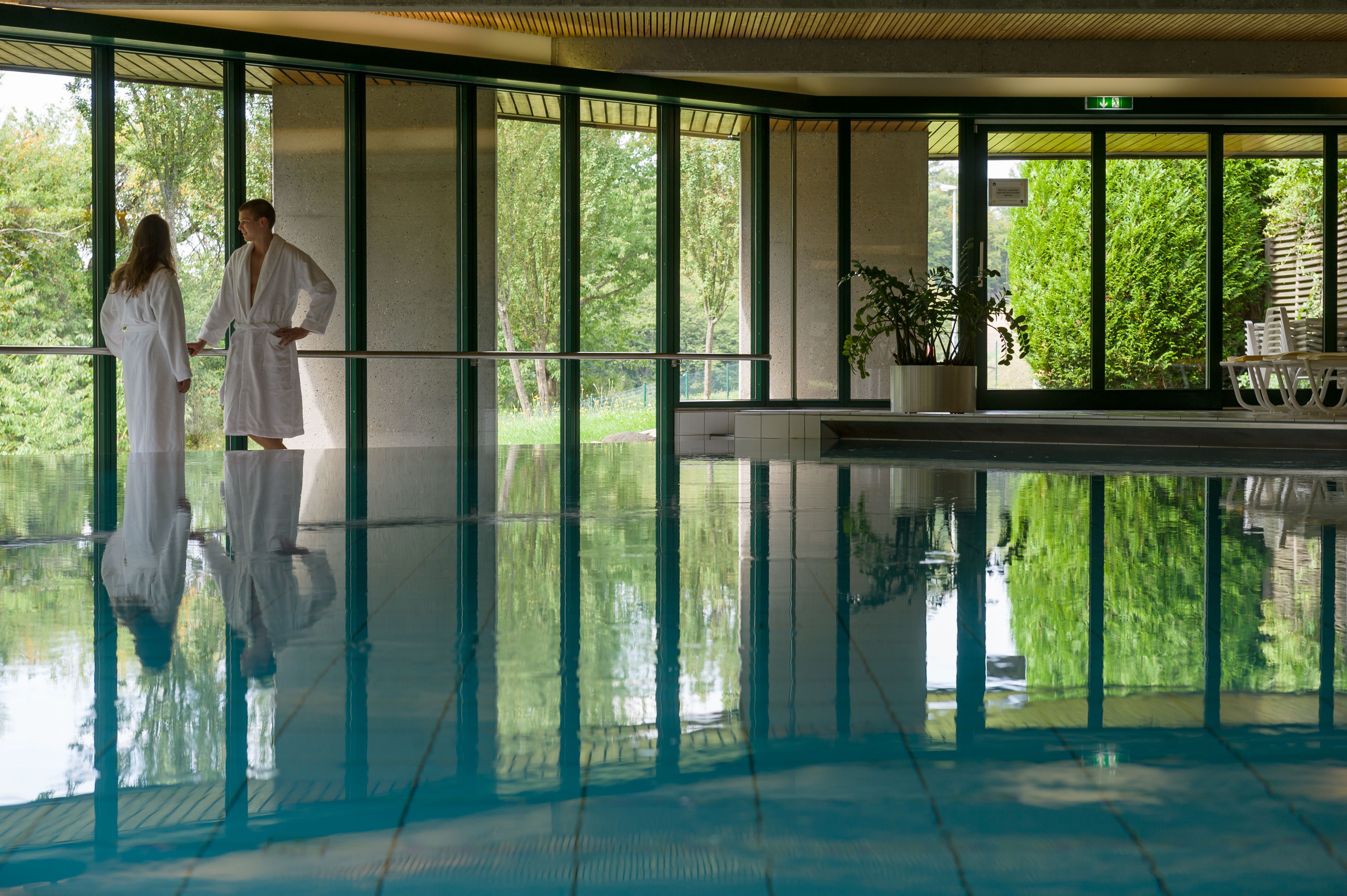 Wellness