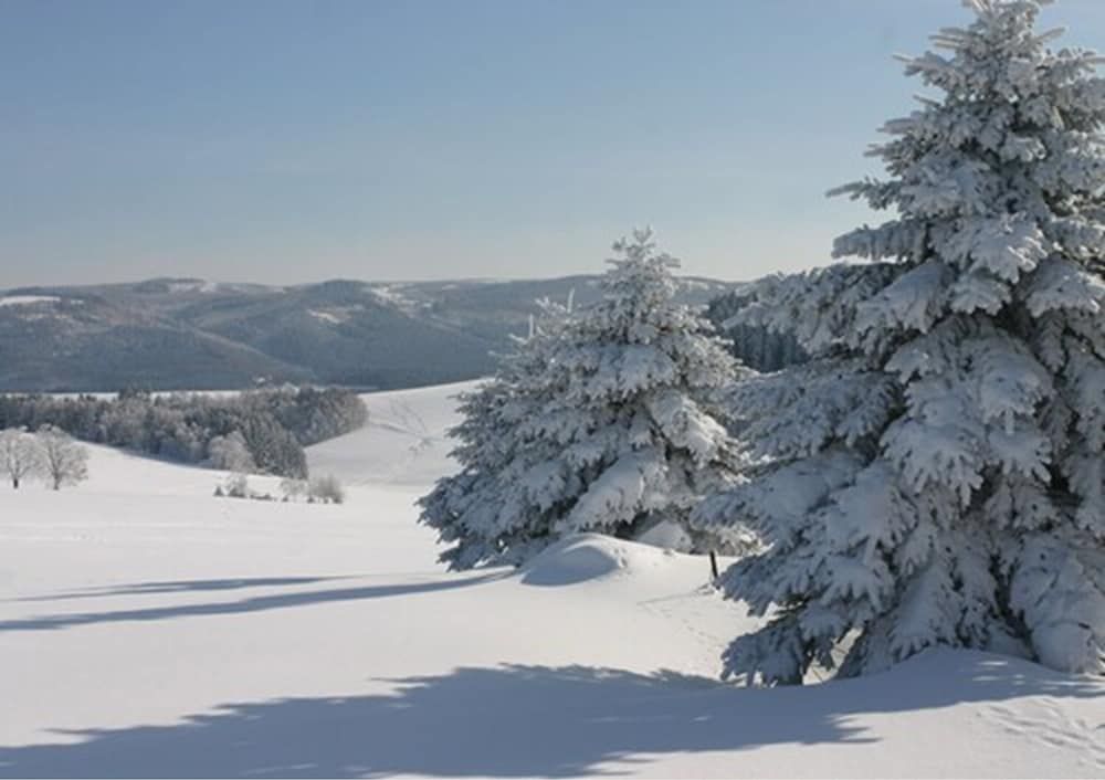 Allgemein