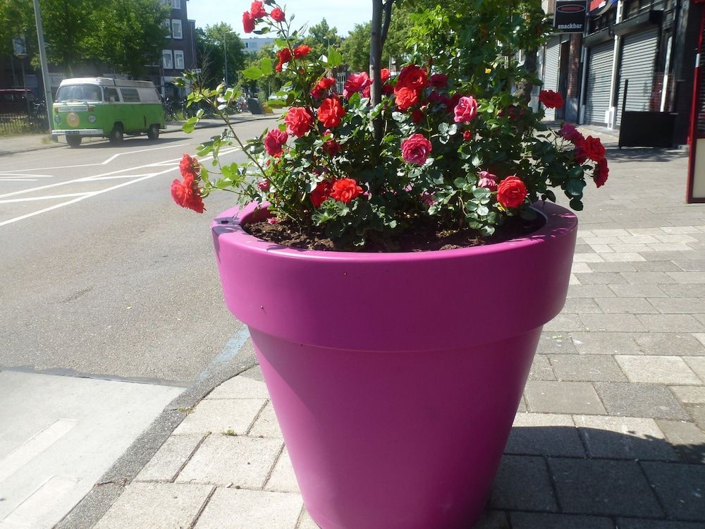 Allgemein