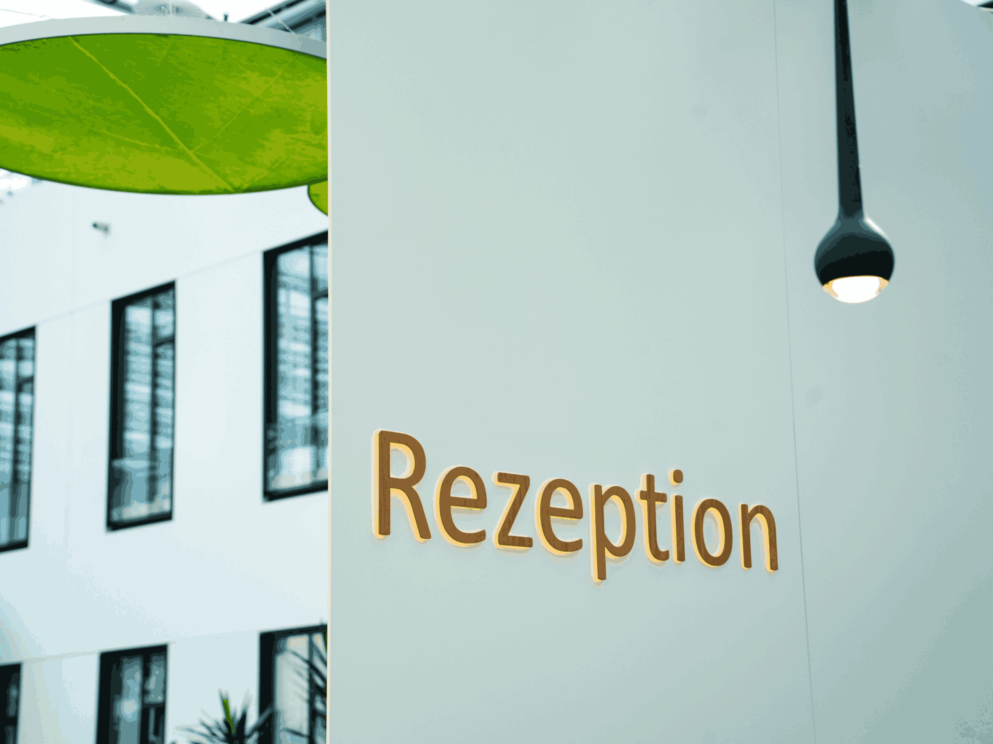 Rezeption