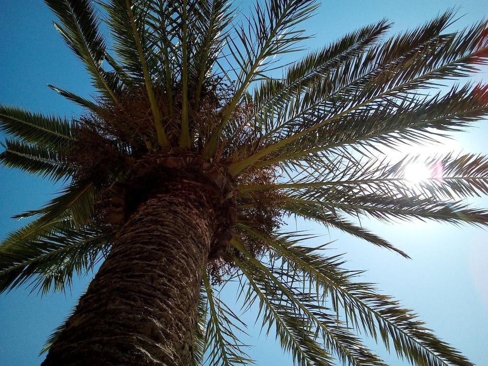 Allgemein