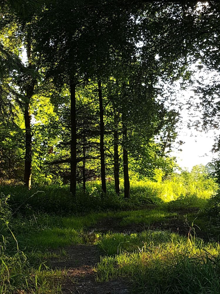Allgemein