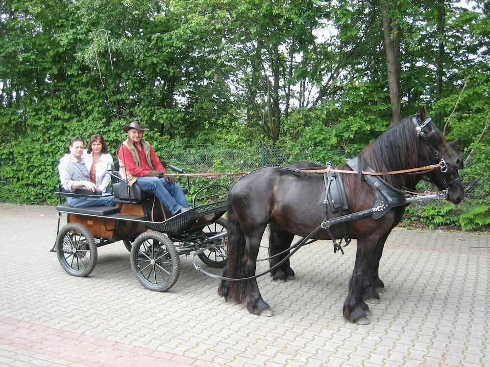 Allgemein